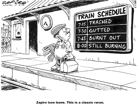 The South African Railway Services