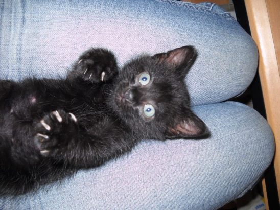 1966740_10152350853241514_1024687862_n