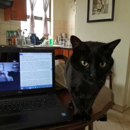 Midnight helping me film